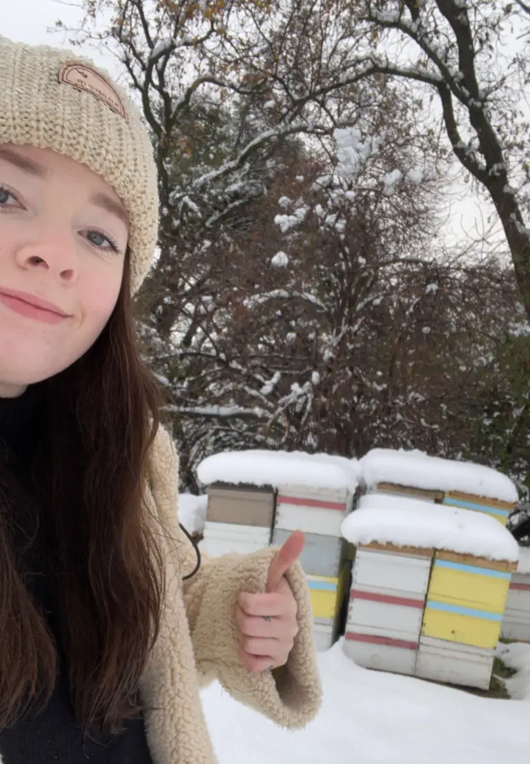 Winter Time and Honey Bees In Sonora CA